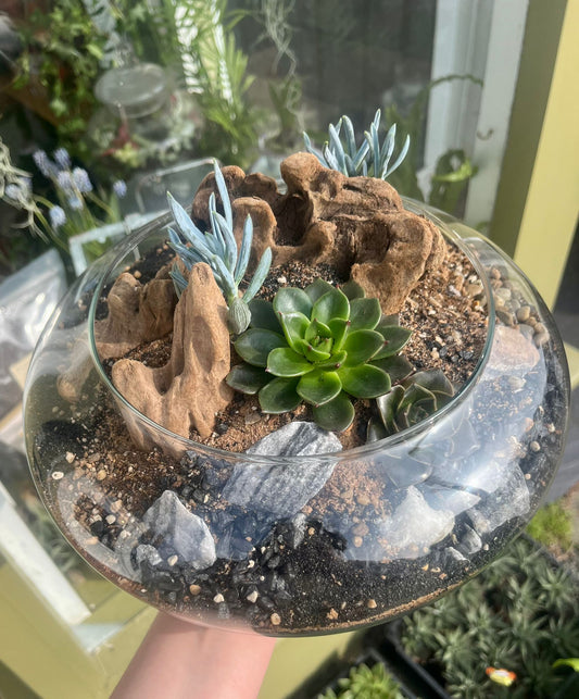 Desert Garden Workshop