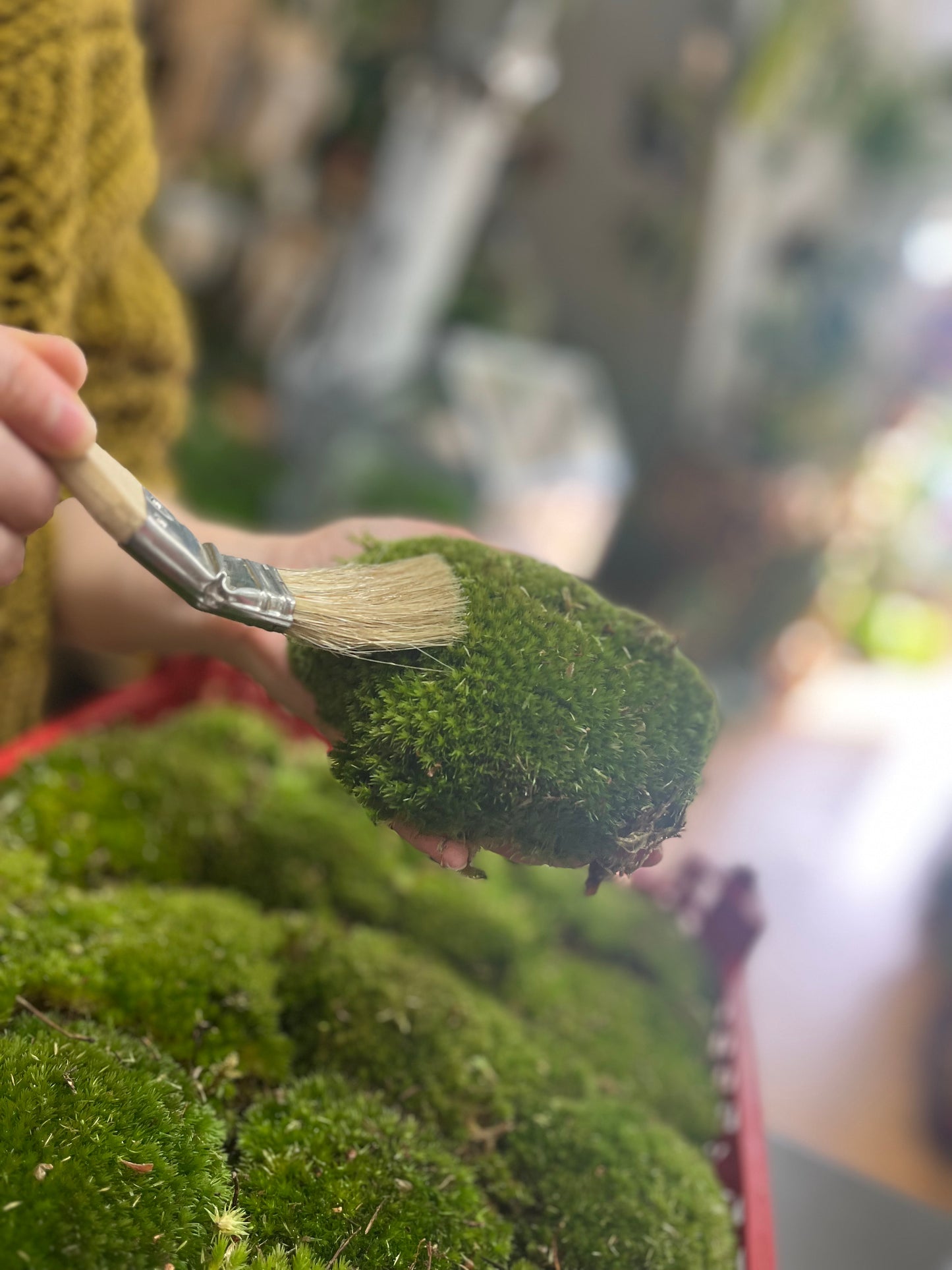 Mossarium Workshop