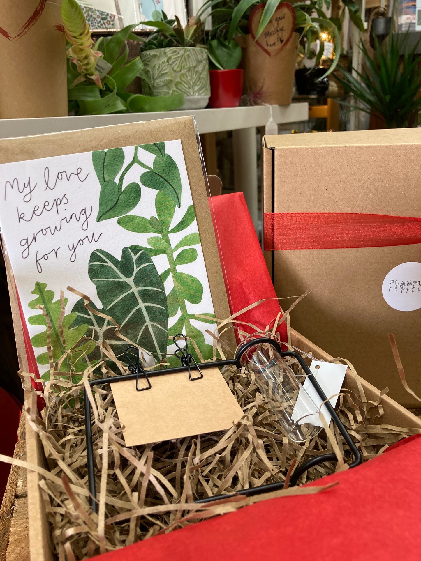 'My Love Keeps Growing For You' - Gift Box