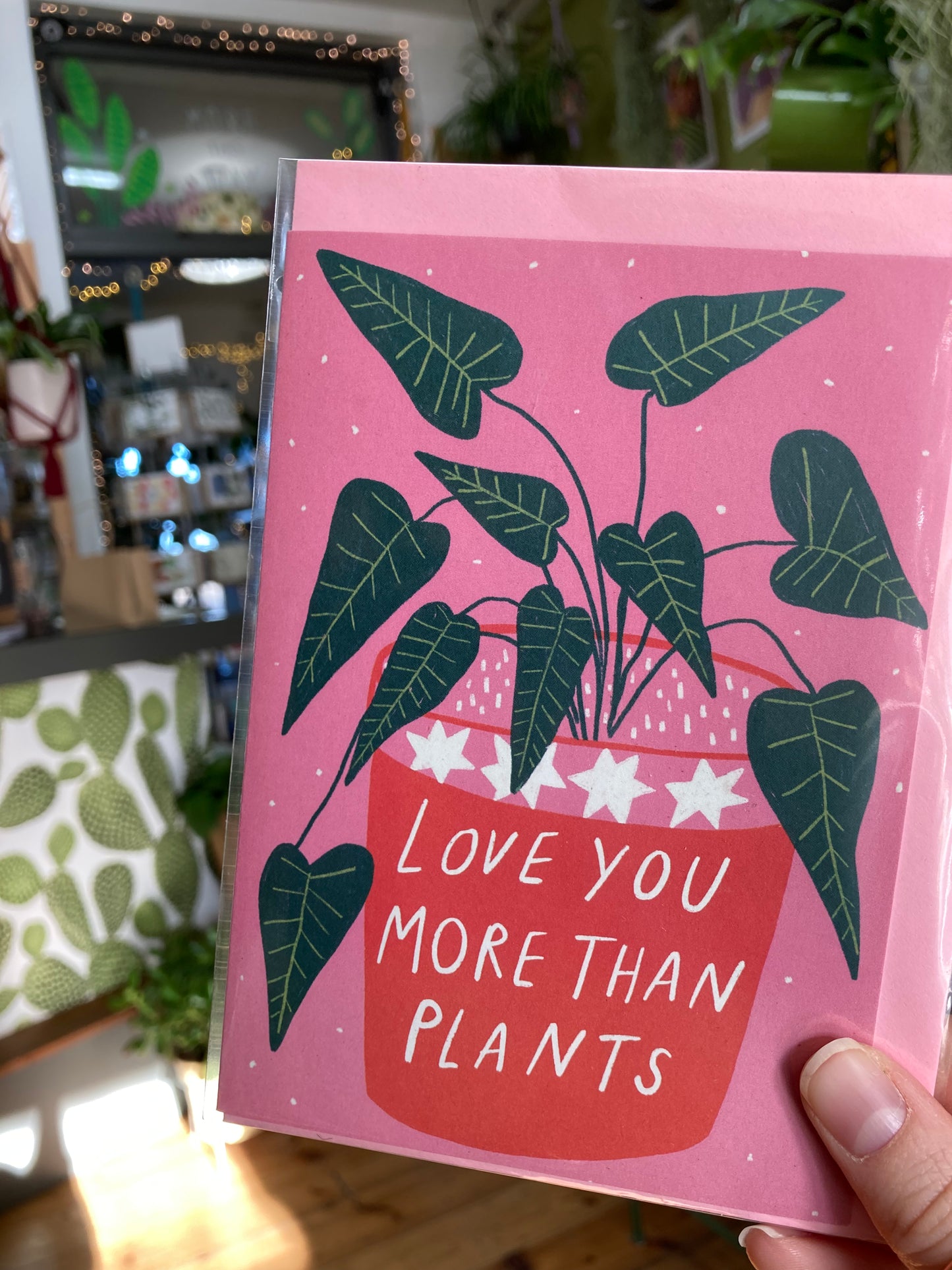 'I Love You More Than Plants' - Gift Box