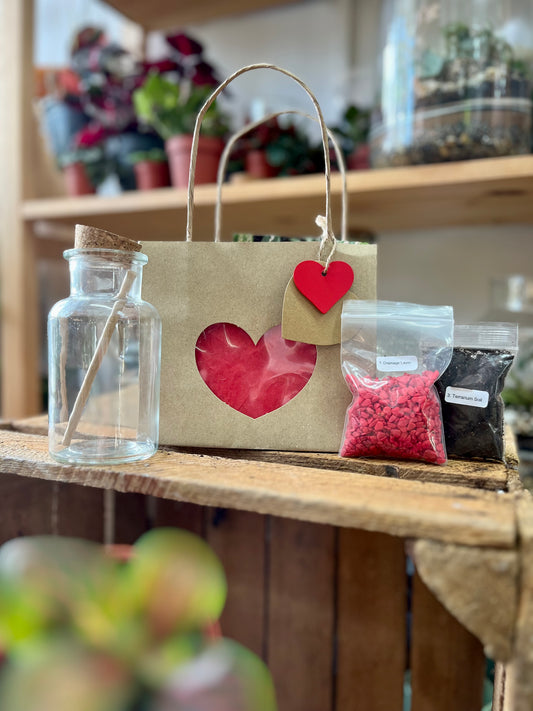 Valentines Mini Terrarium Kit