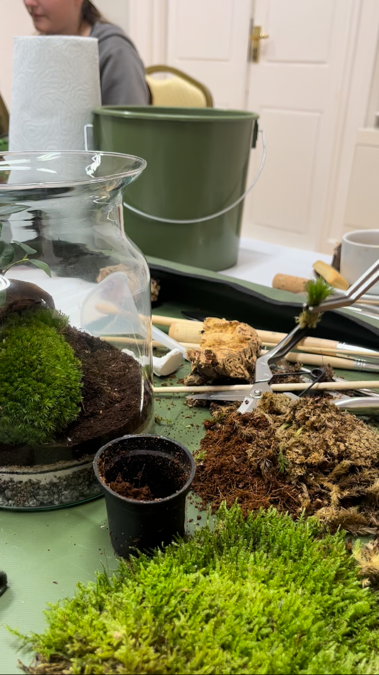 Mossarium Workshop