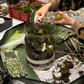 Mossarium Workshop