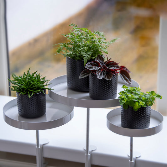 Window Sill Clamp Trays (Round)