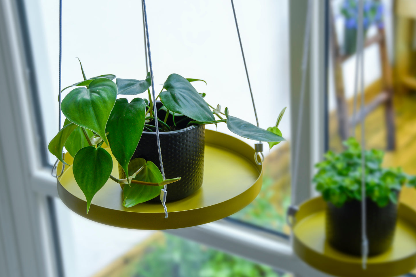 Hanging Plant Tray (Round)