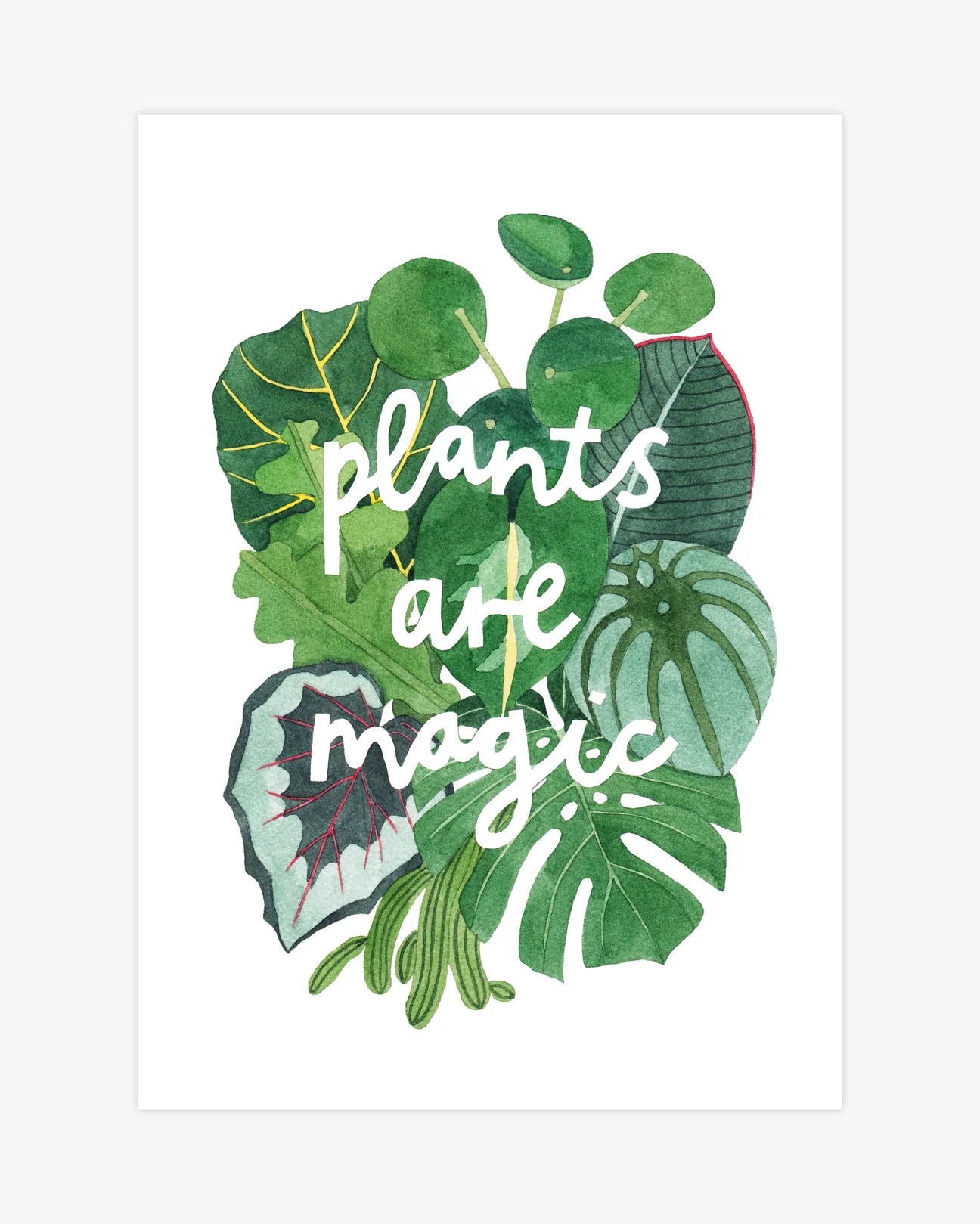 Plants Are Magic Print