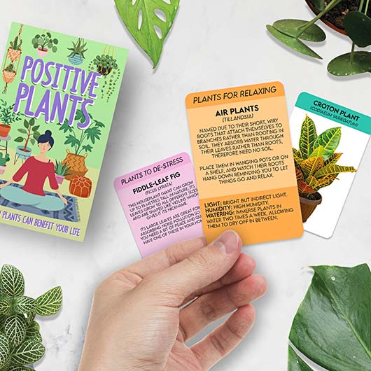 'Positive Plants' Cards