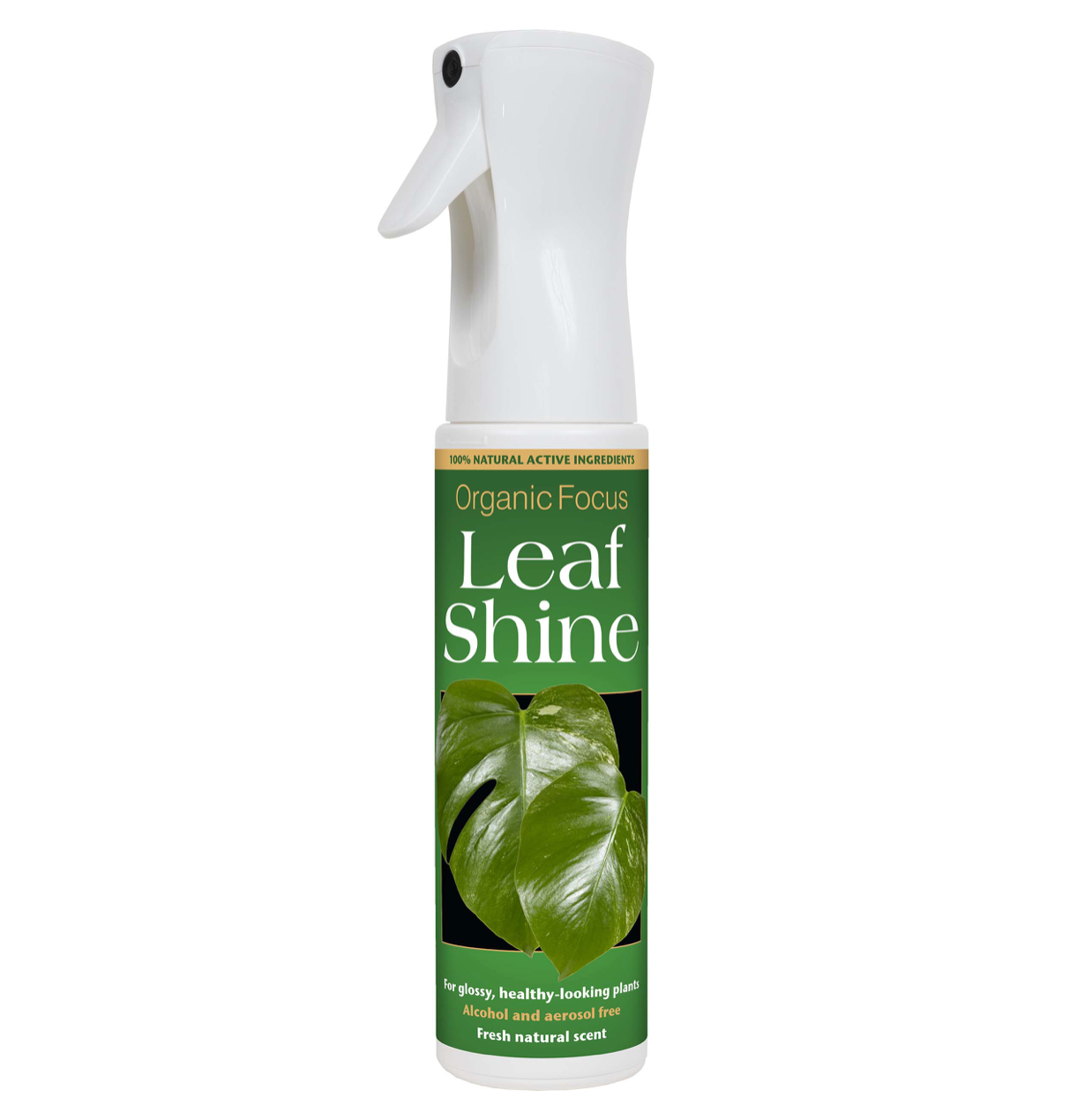 Organic Leaf Shine