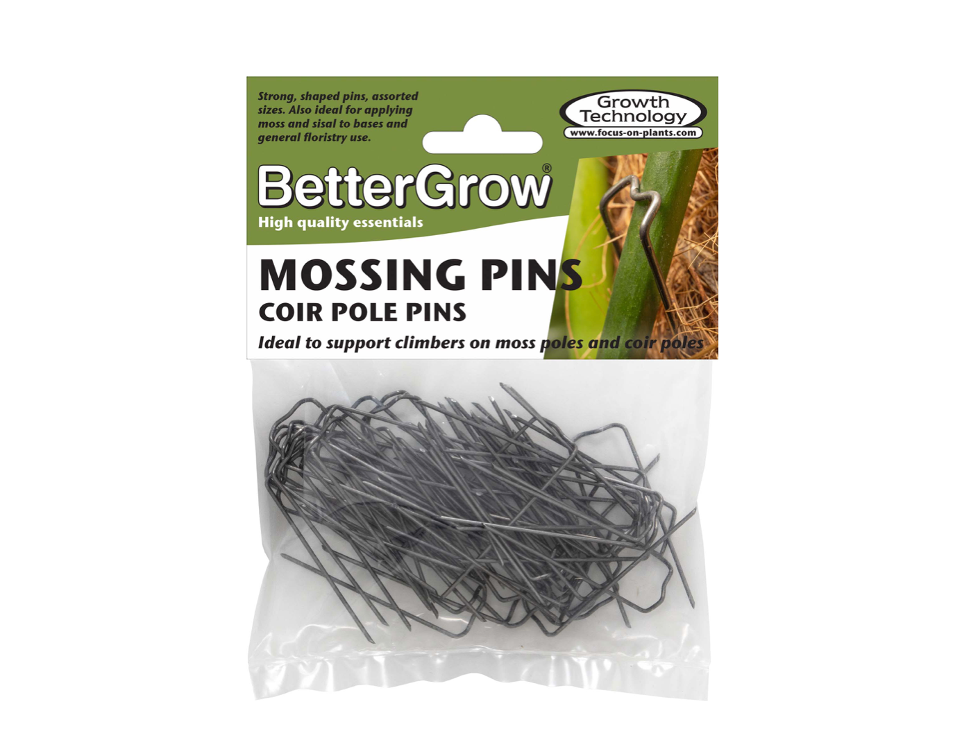 Mossing Pins (Coir Pole Pins)