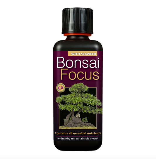 Bonsai Focus