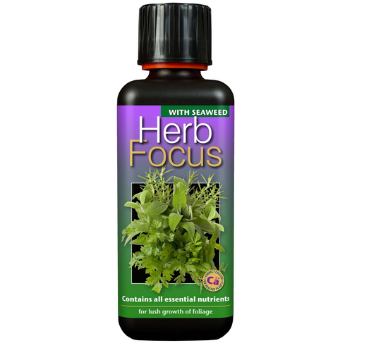 Herb Focus