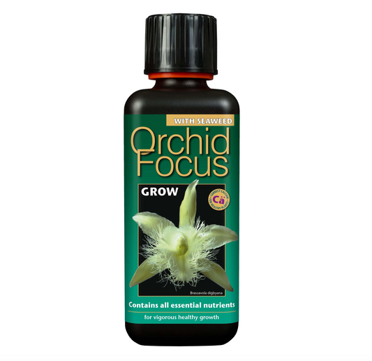 Orchid Focus Grow