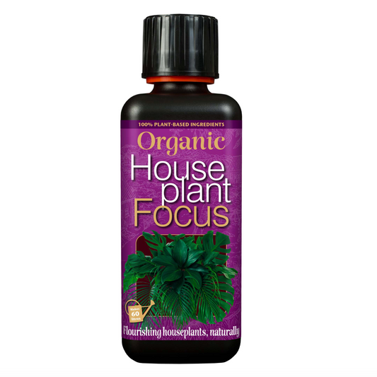 Organic Houseplant Focus