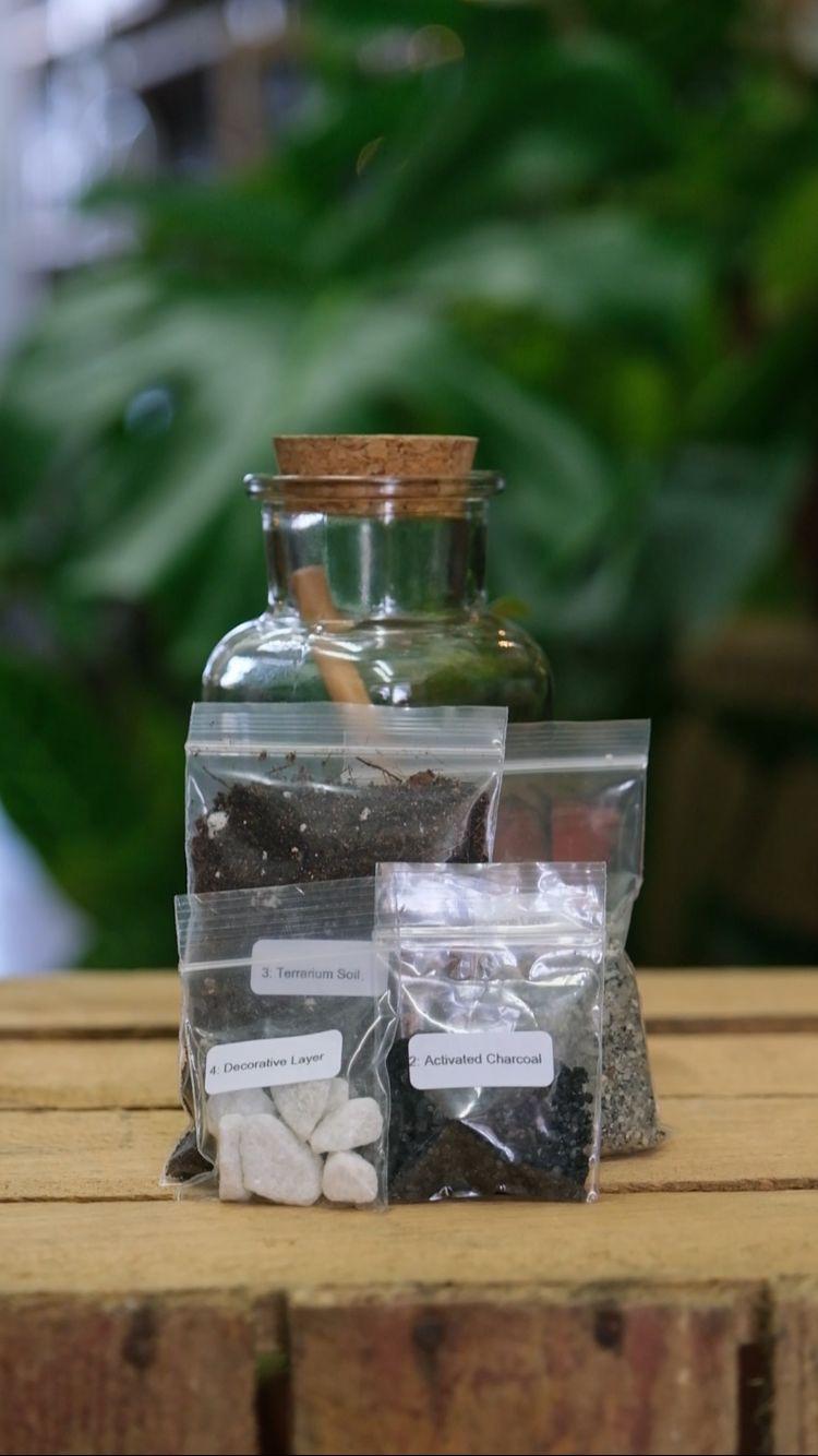Mini Terrarium Kit – Plantlet Shop