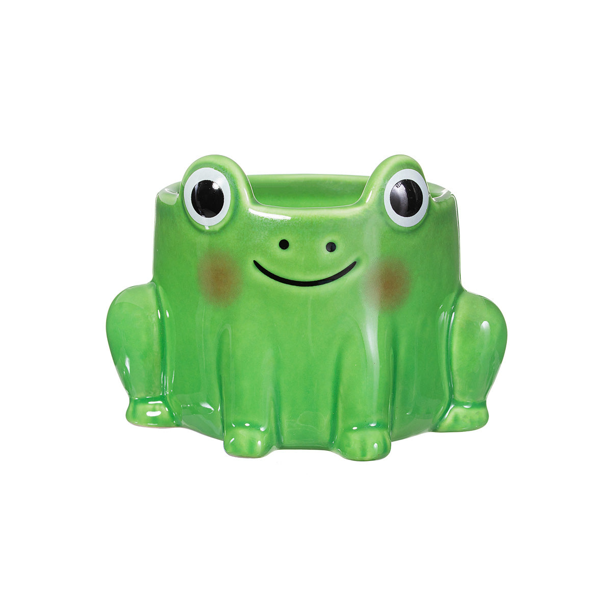 Mini Frog Planter