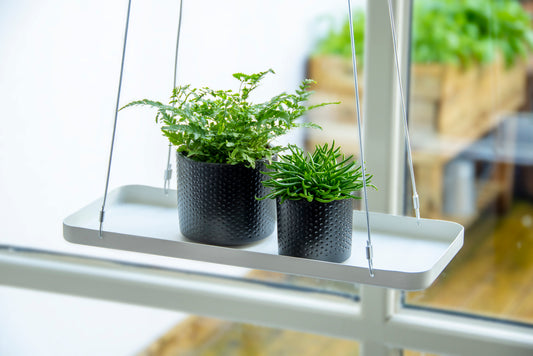 Hanging Plant Tray (Rectangular)