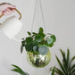 Disco Ball Hanging Planters