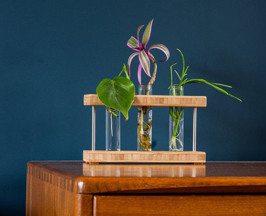Bamboo Propagation Station