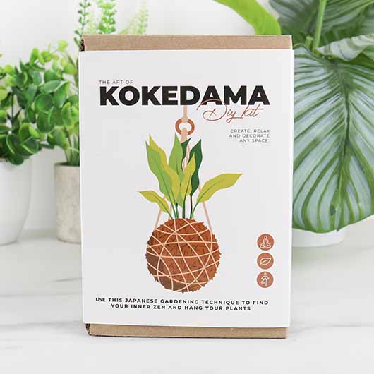 The Art Of Kokedama - DIY Kit