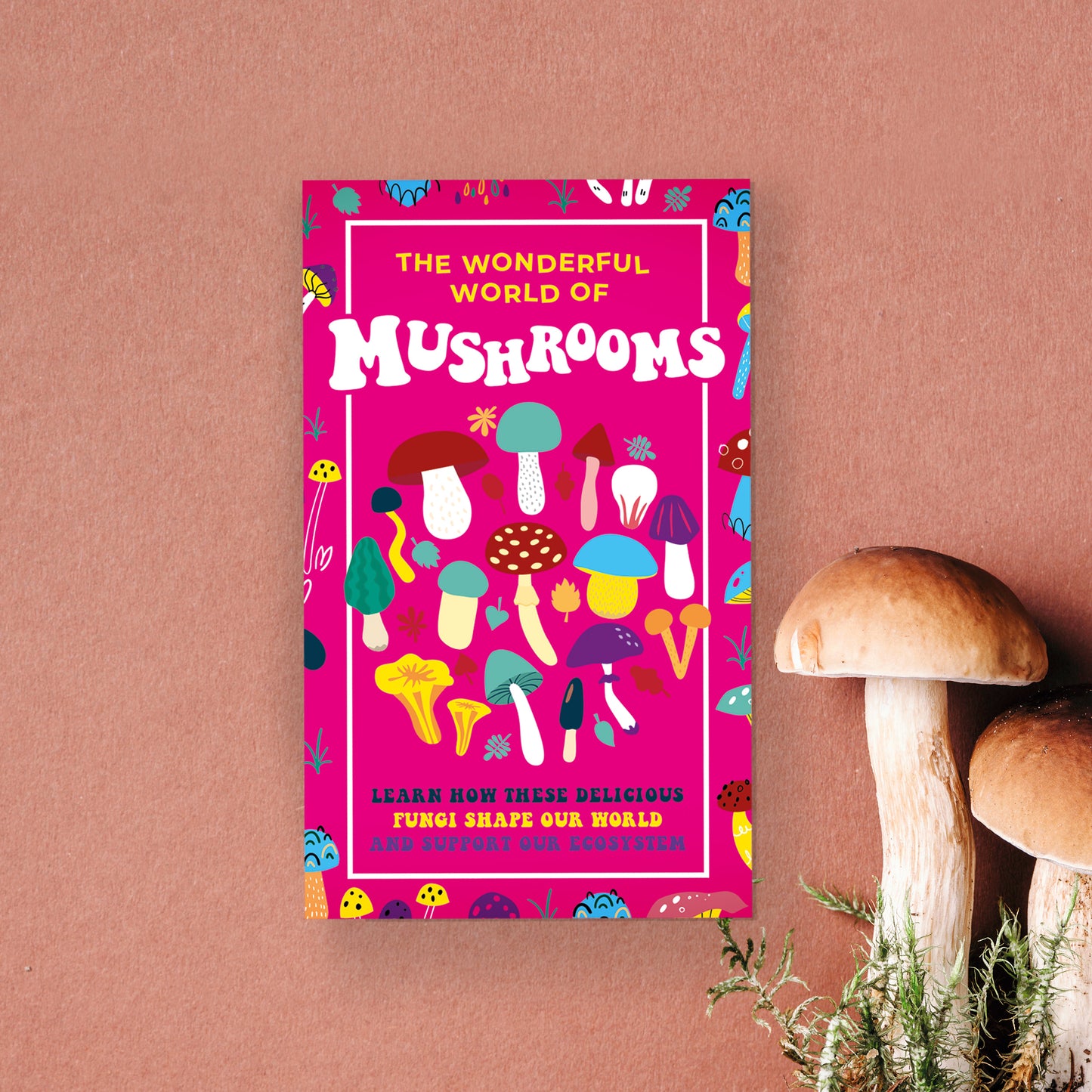 'The Wonderful World Of Mushrooms' Cards